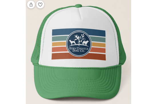 Rad Green EdenThistle Dog Co. Hat